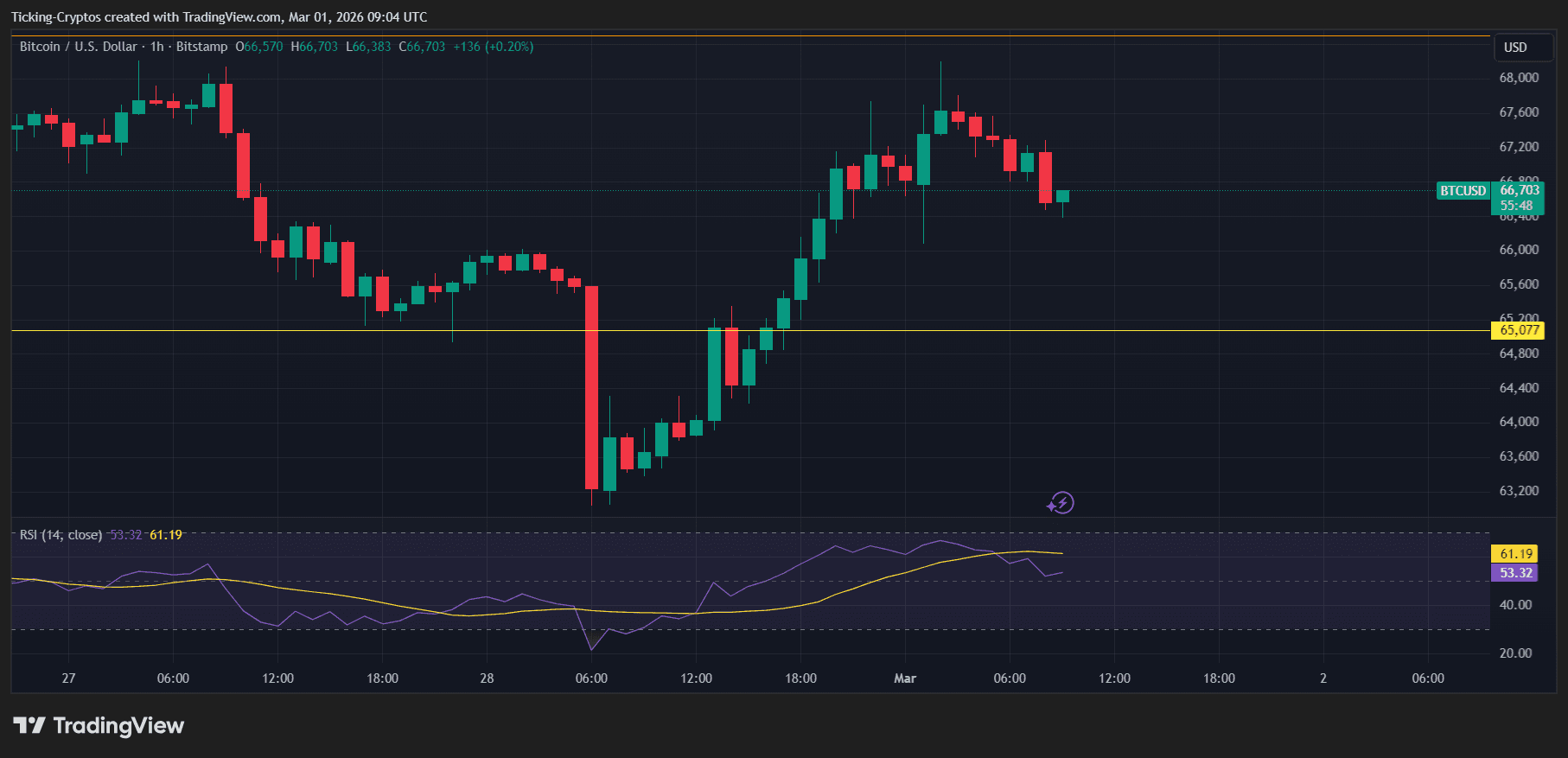 BTCUSD_2026-03-01_11-04-12.png