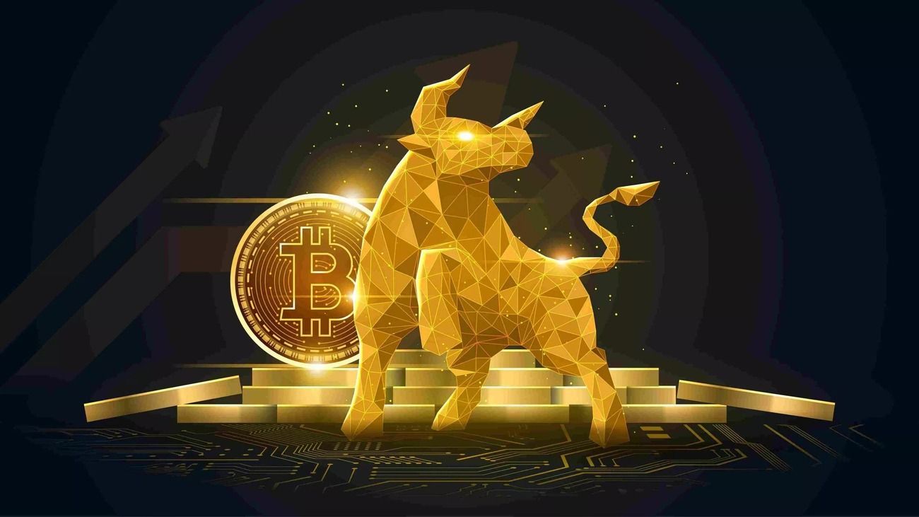 Bitcoin bull