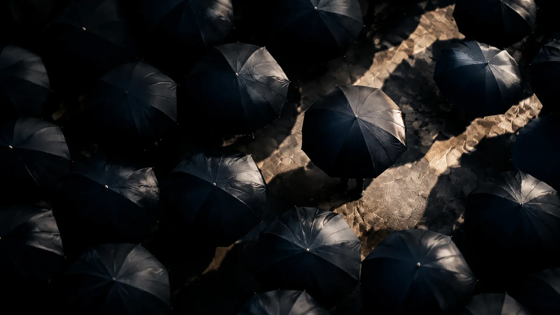 Viele aufgespannte dunkle Regenschirme von oben auf einem trockenen Platz, der Himmel darüber klar