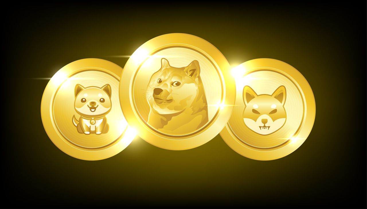 Are Shiba Inu, PEPE, and Dogecoin Dead in 2025? The Numbers Tell a Brutal Story